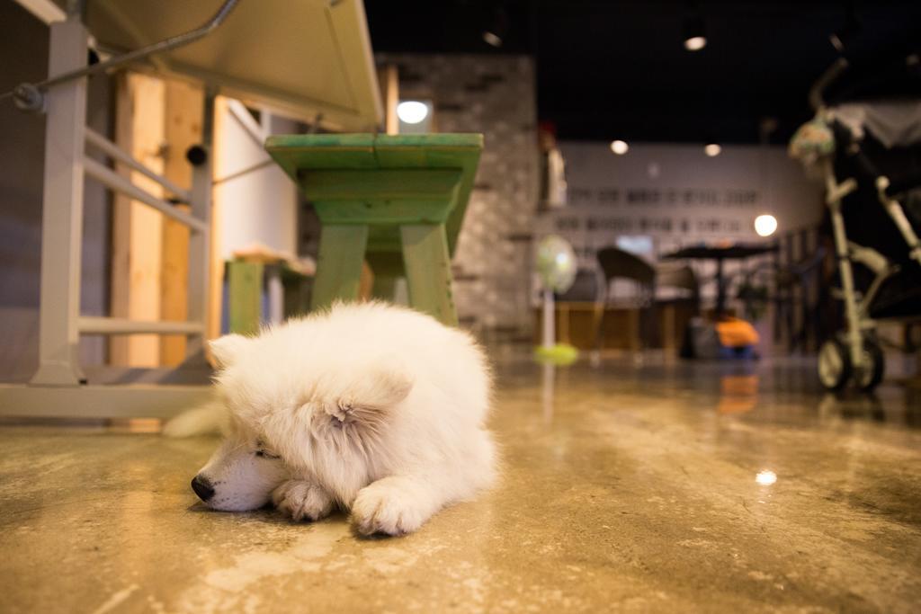 Suncheon Guesthouse Nreem Dış mekan fotoğraf